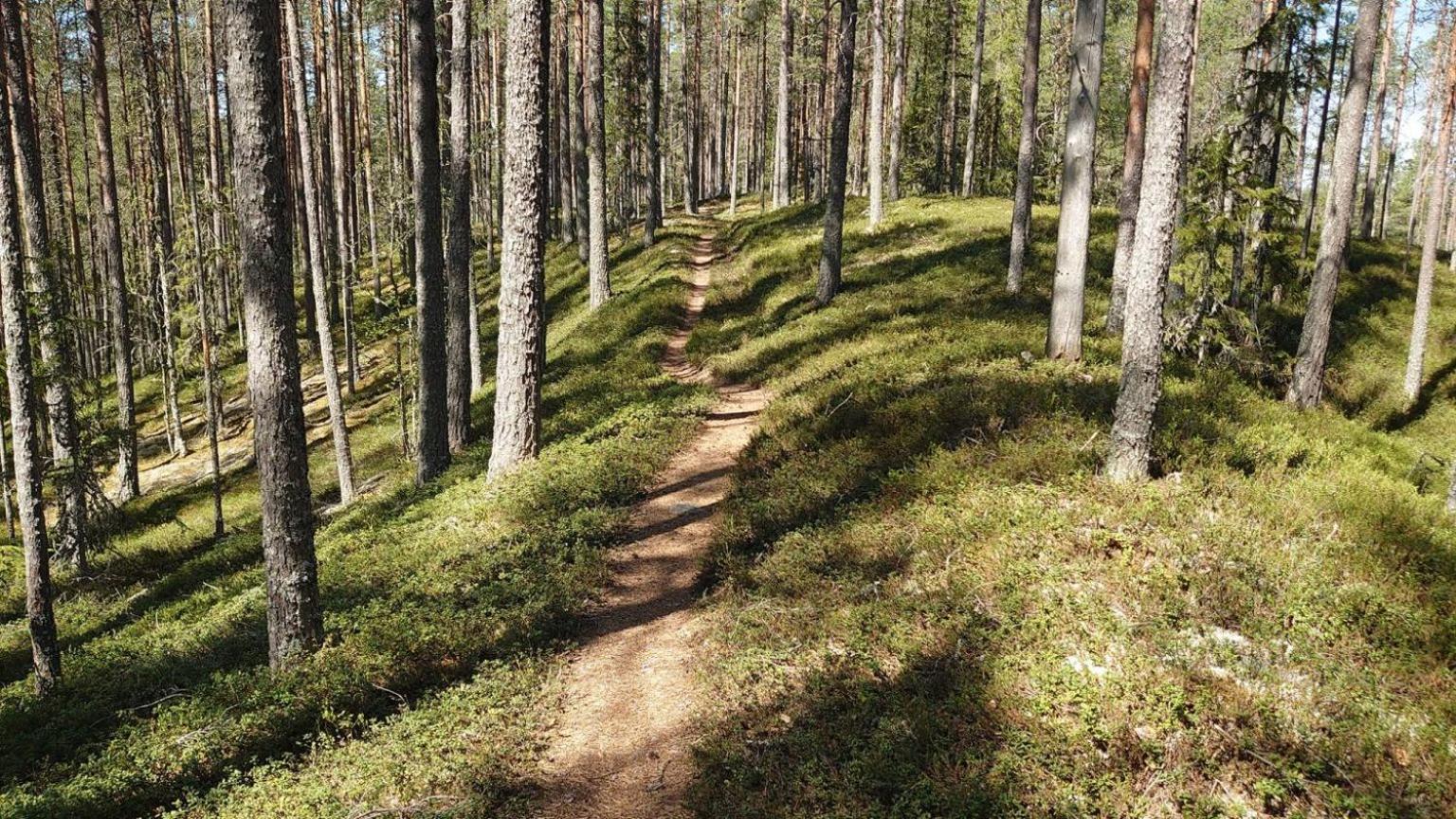 Mountain Lodge Стётен Экстерьер фото